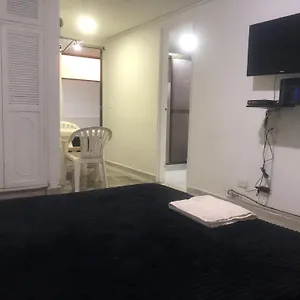 Apartamento Cómodo , Céntrico Y Bien Ubicado 201 Apartamento
